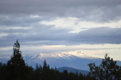 DSC_0093 (Large).JPG